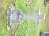 image number 1020009